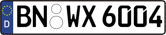 BN-WX6004