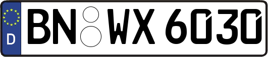 BN-WX6030