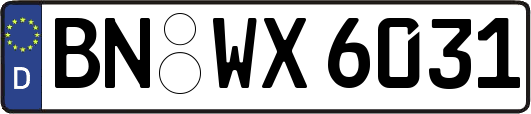 BN-WX6031