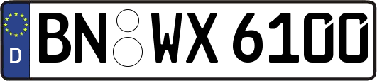 BN-WX6100