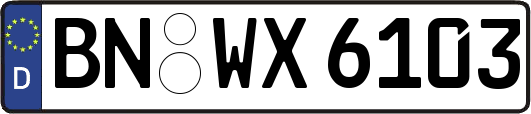 BN-WX6103