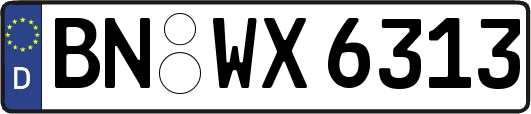 BN-WX6313