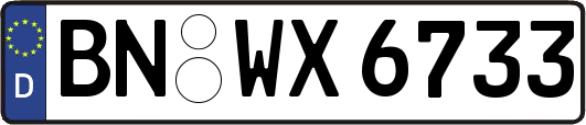 BN-WX6733
