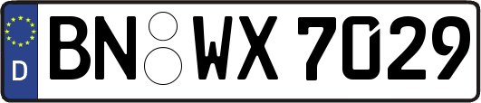 BN-WX7029