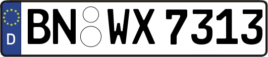 BN-WX7313