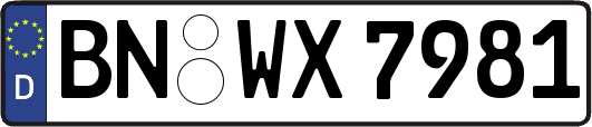 BN-WX7981