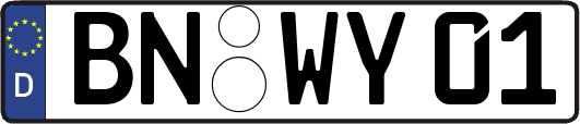 BN-WY01