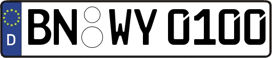 BN-WY0100