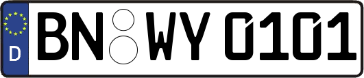 BN-WY0101