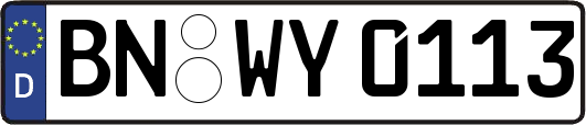 BN-WY0113
