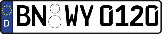 BN-WY0120