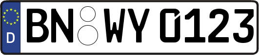 BN-WY0123
