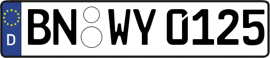 BN-WY0125