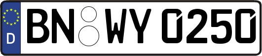 BN-WY0250
