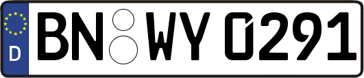 BN-WY0291
