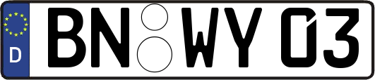 BN-WY03