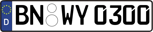 BN-WY0300