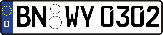 BN-WY0302
