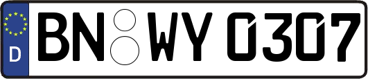 BN-WY0307