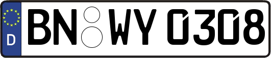 BN-WY0308