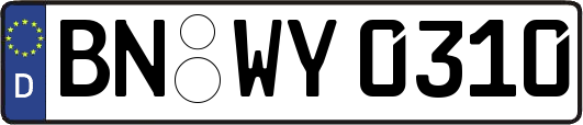 BN-WY0310