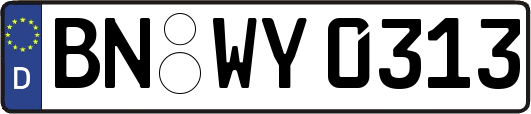 BN-WY0313