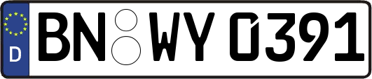 BN-WY0391