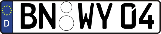 BN-WY04