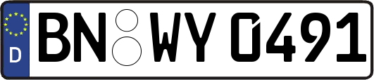 BN-WY0491