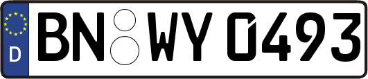 BN-WY0493