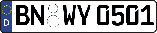 BN-WY0501