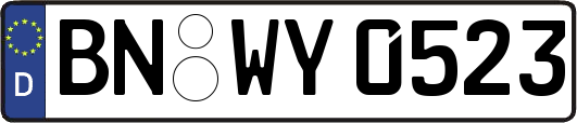 BN-WY0523