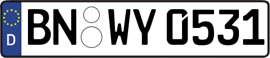 BN-WY0531