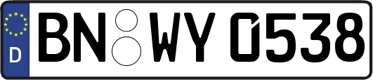 BN-WY0538