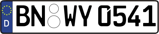 BN-WY0541