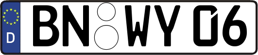 BN-WY06