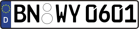 BN-WY0601