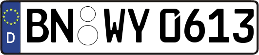 BN-WY0613