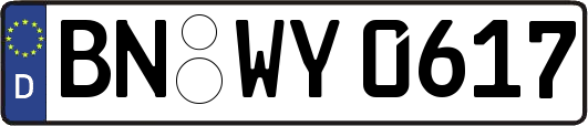 BN-WY0617