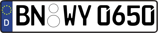 BN-WY0650