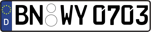 BN-WY0703