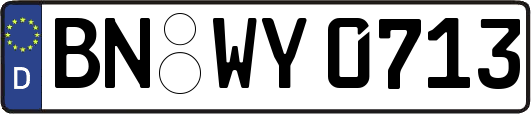 BN-WY0713