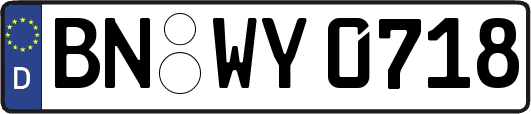 BN-WY0718