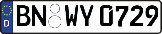 BN-WY0729