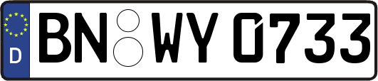 BN-WY0733
