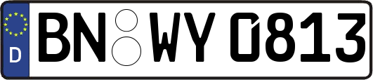 BN-WY0813