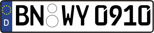 BN-WY0910