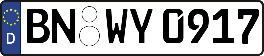 BN-WY0917