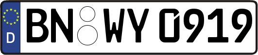 BN-WY0919