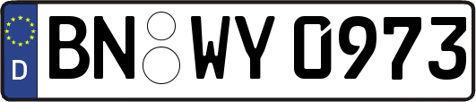 BN-WY0973